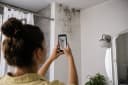 What to Do If You Find Mold in Your Rental: A Tenant's Action Plan