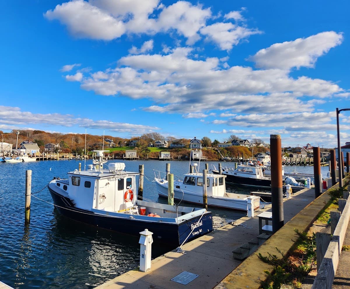 Menemsha Basin