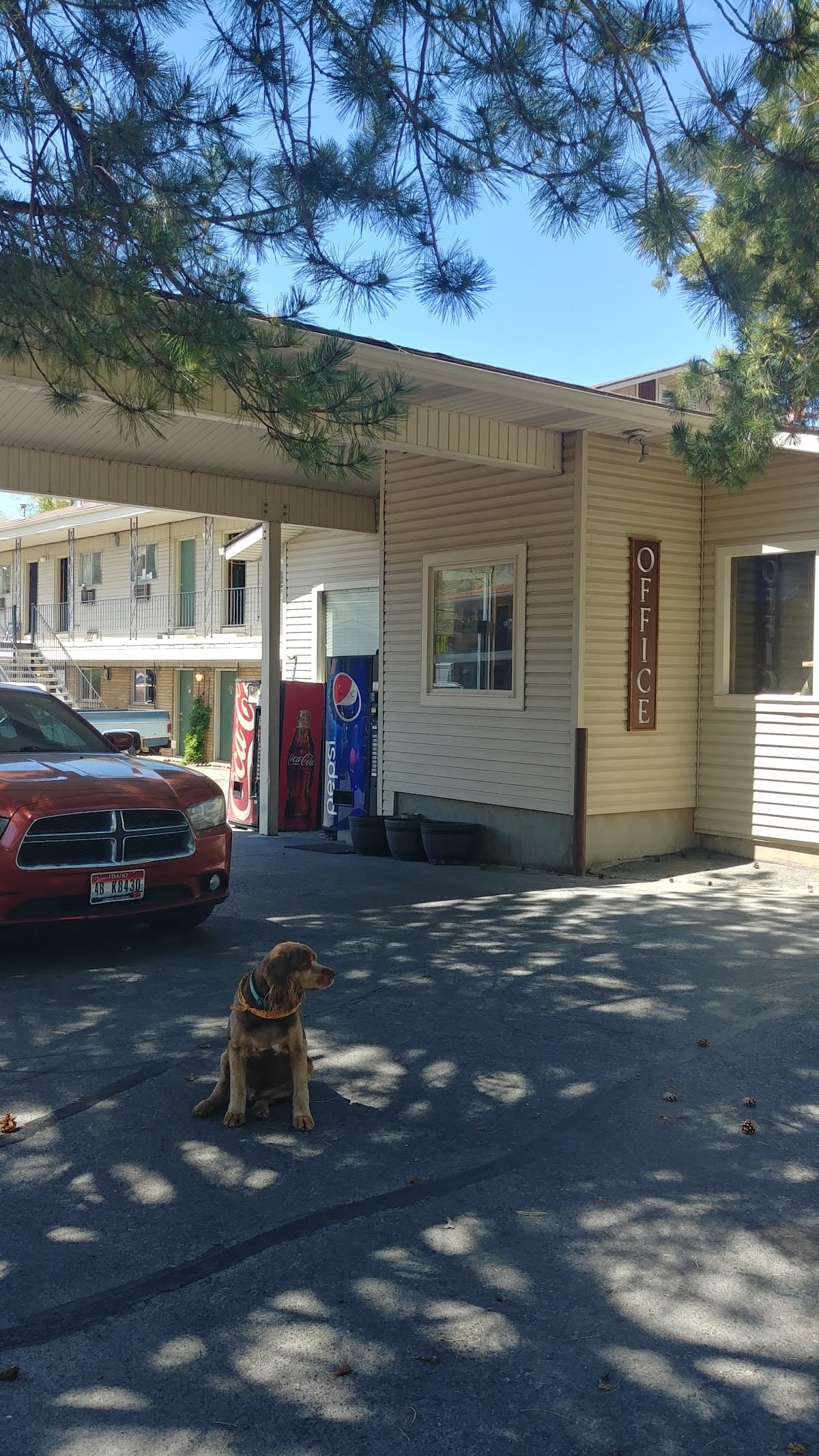 Thunderbird Motel