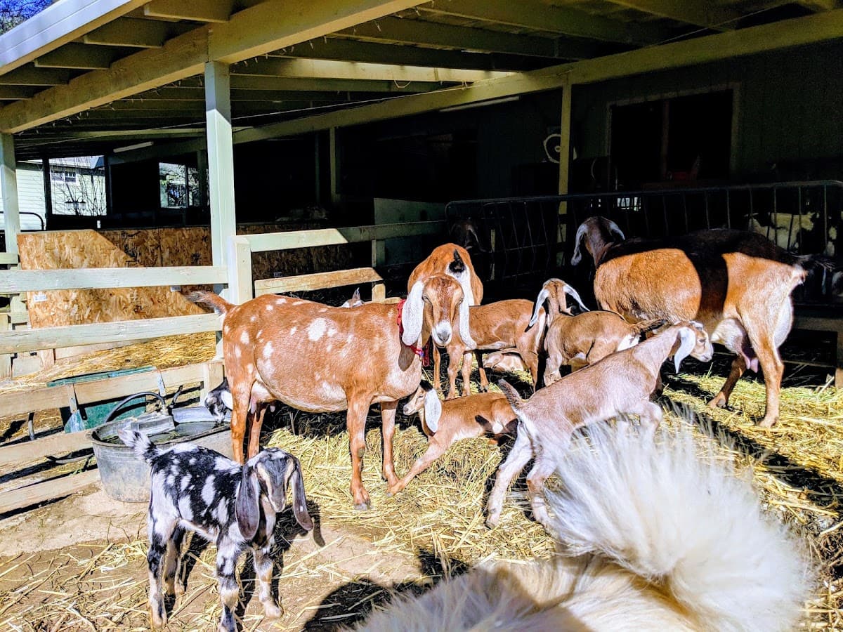 Blue Oaks Ranch