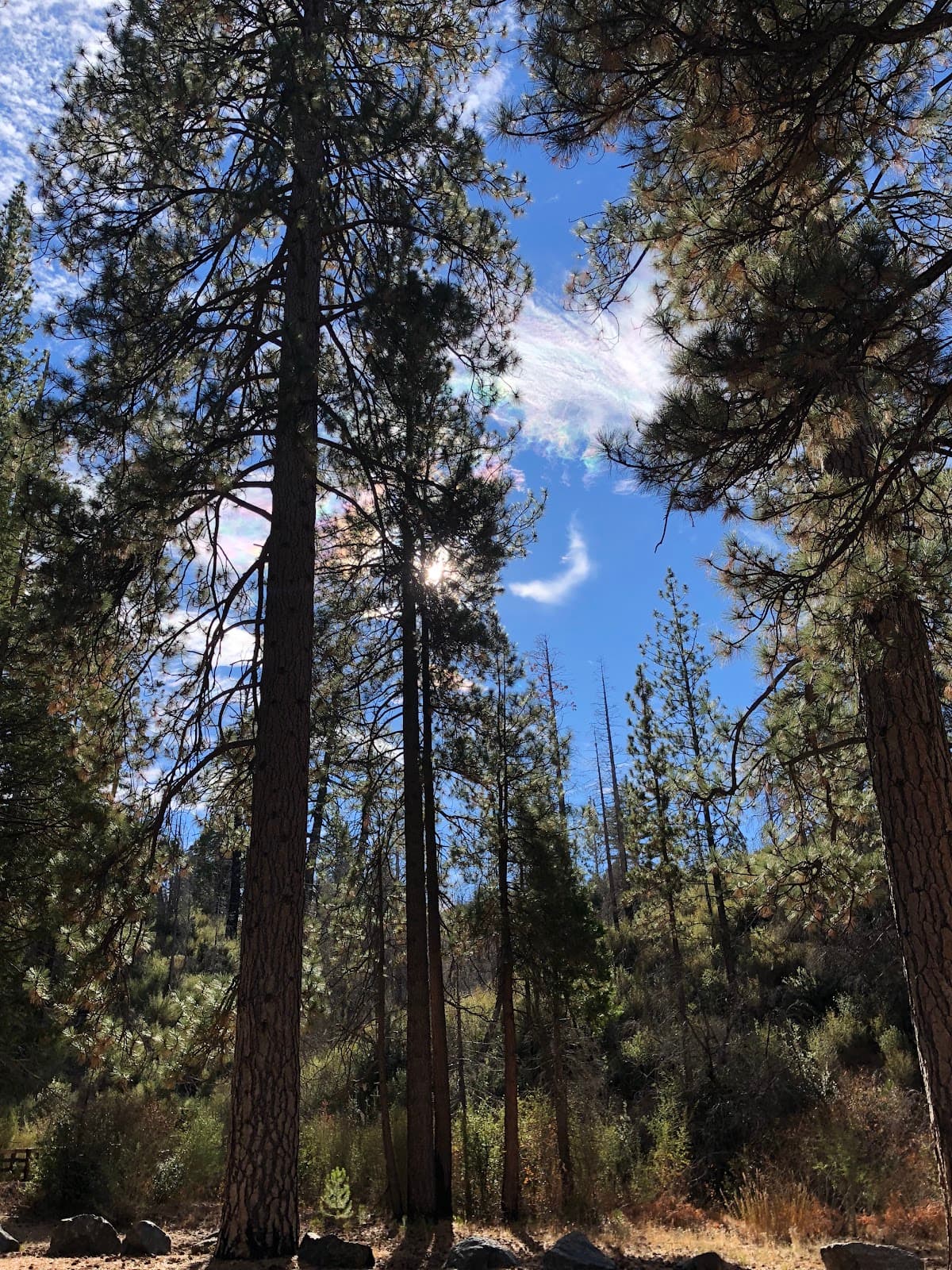 Charlton Flat