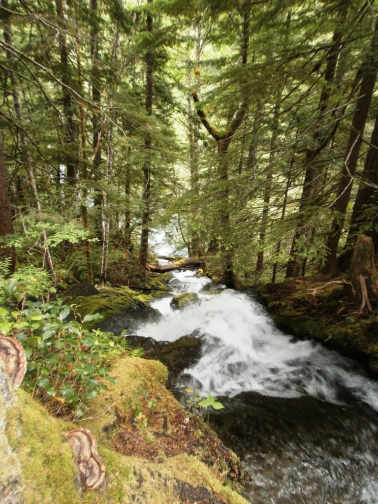 Ohanapecosh Park