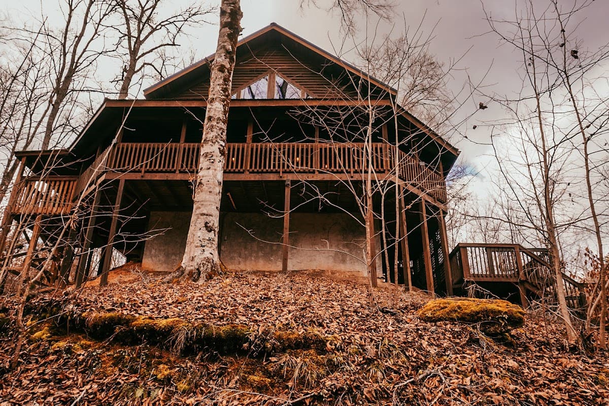 Mama Bear's Retreat
