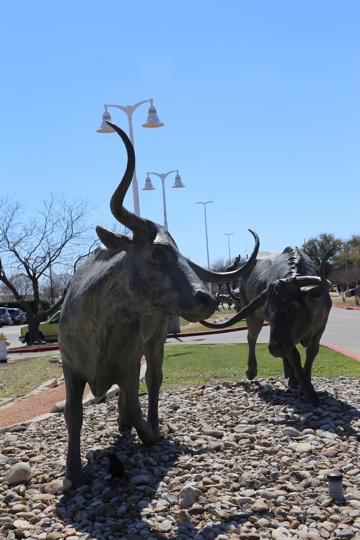 Kasa Frisco Bridges Dallas