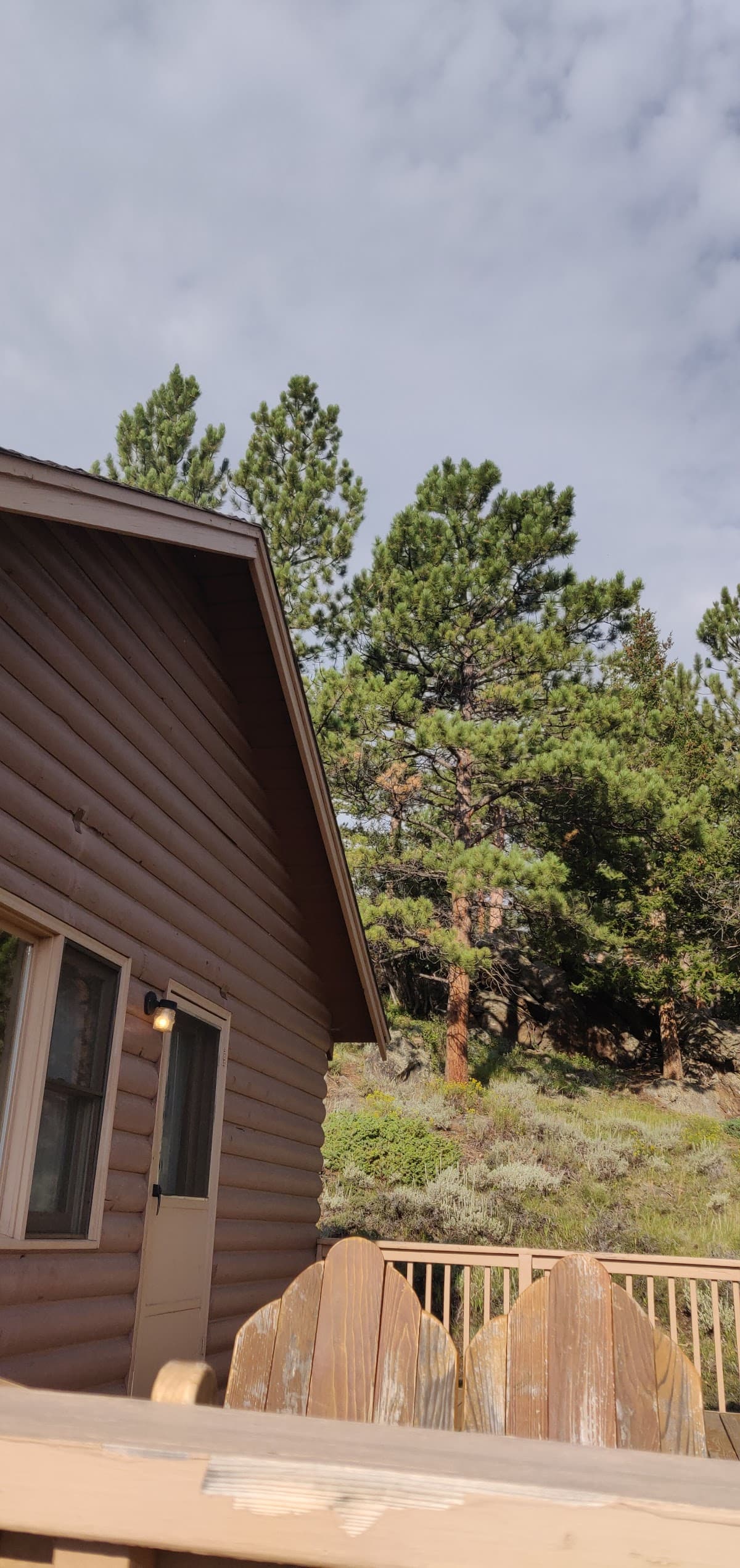 Robin's Nest Cabin YMCA