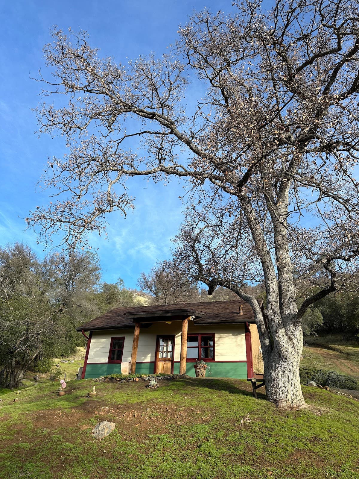 Homestead Cottages