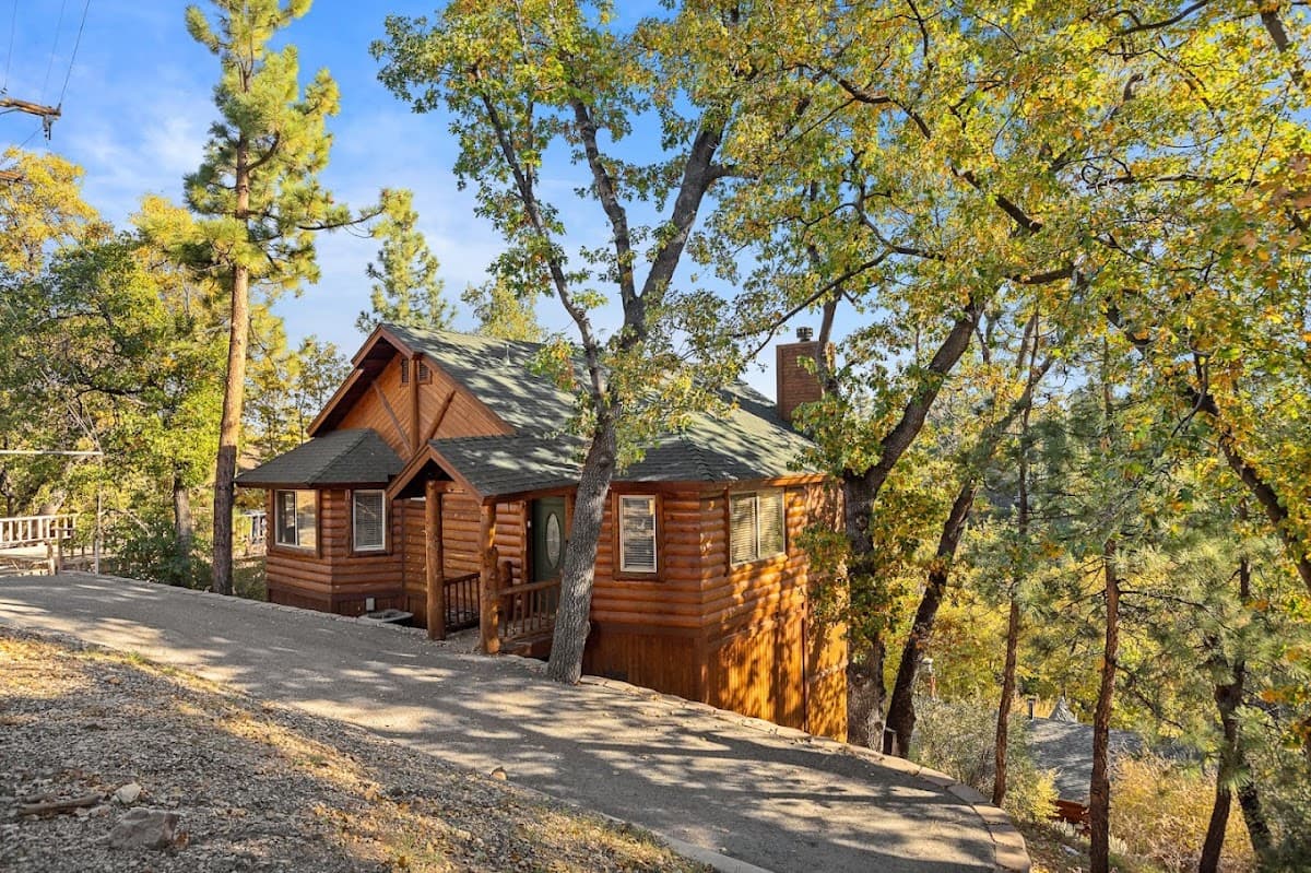 Bearadise Treehaus Retreat