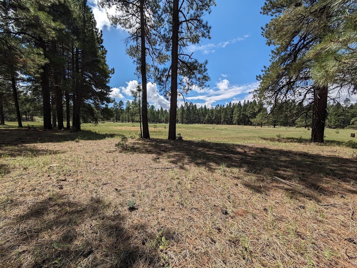 Pine Flat