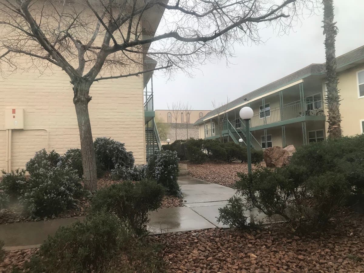 New Timberwolf apartments 2024