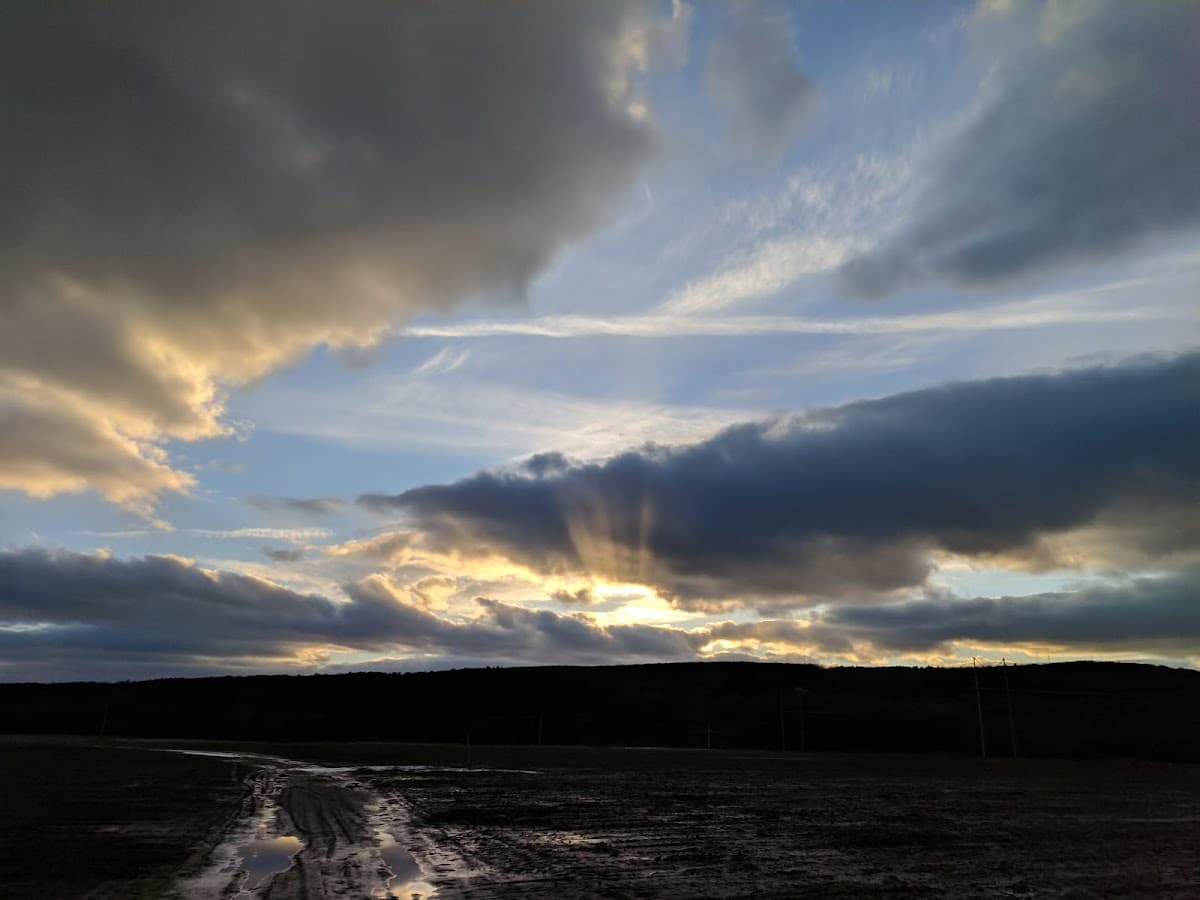 North Meadows
