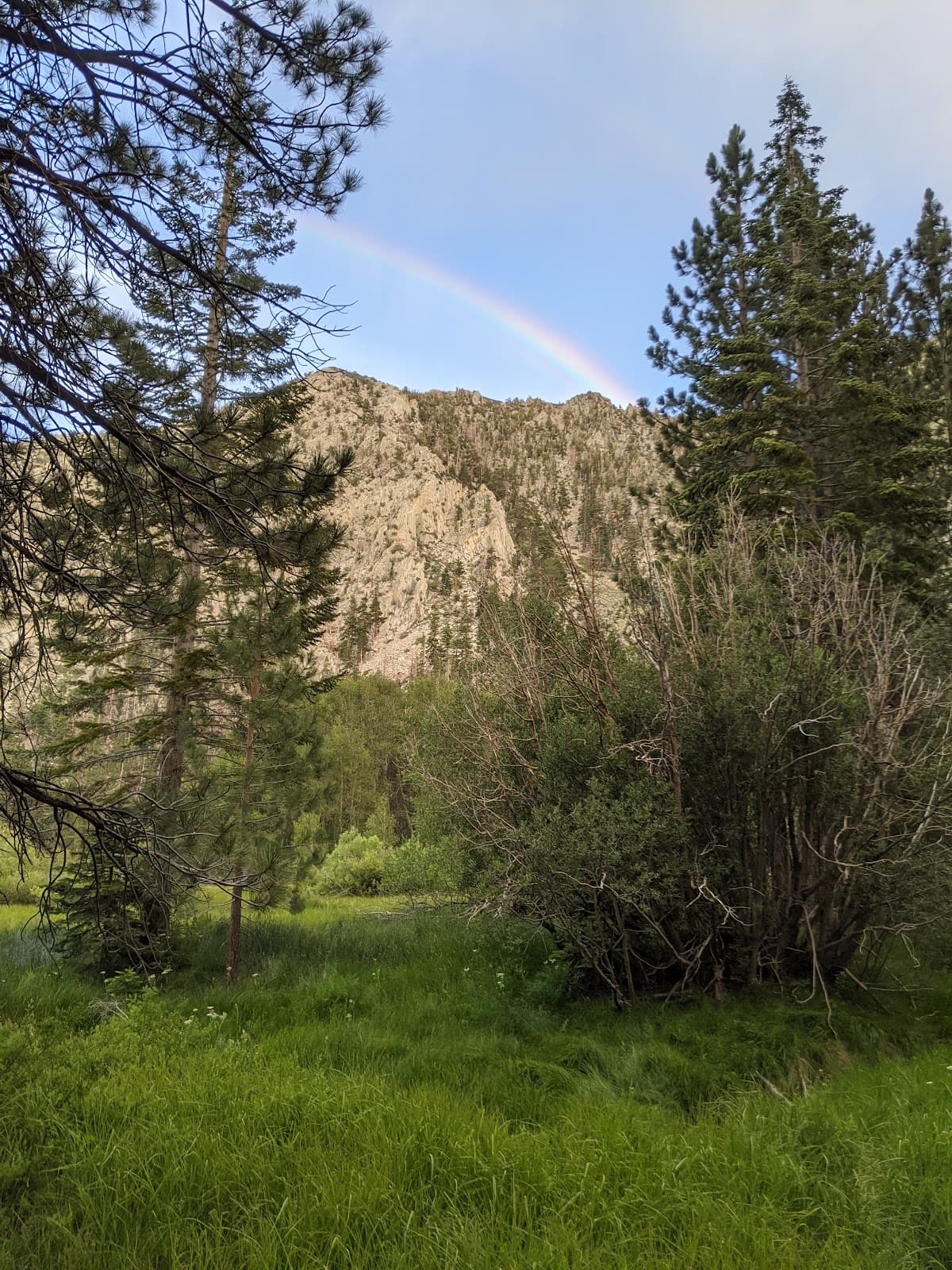 Sawmill Meadows