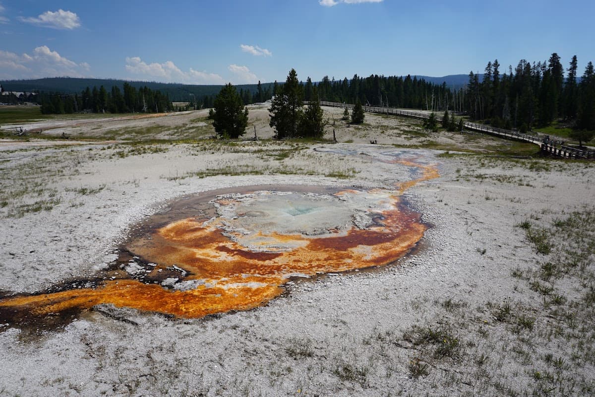 Tardy Geyser