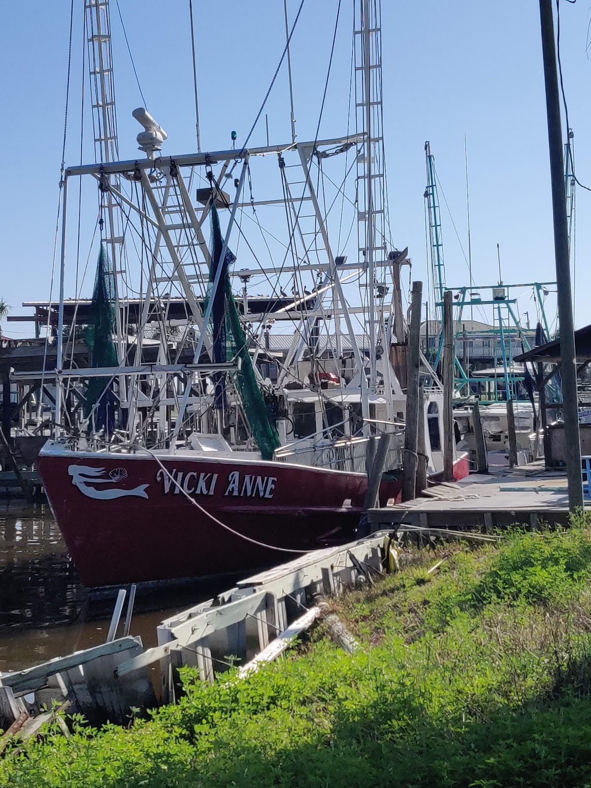 El Sea's Fish Camp