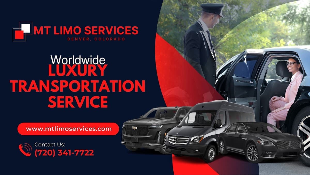 Mt Limousine Worldwide Inc