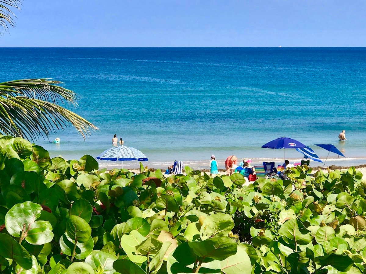 Seashell Rentals - Seasonal Rental