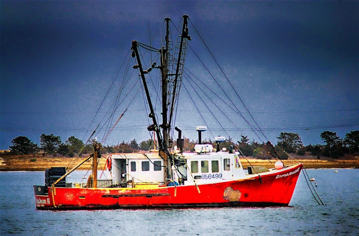 Stage Harbor
