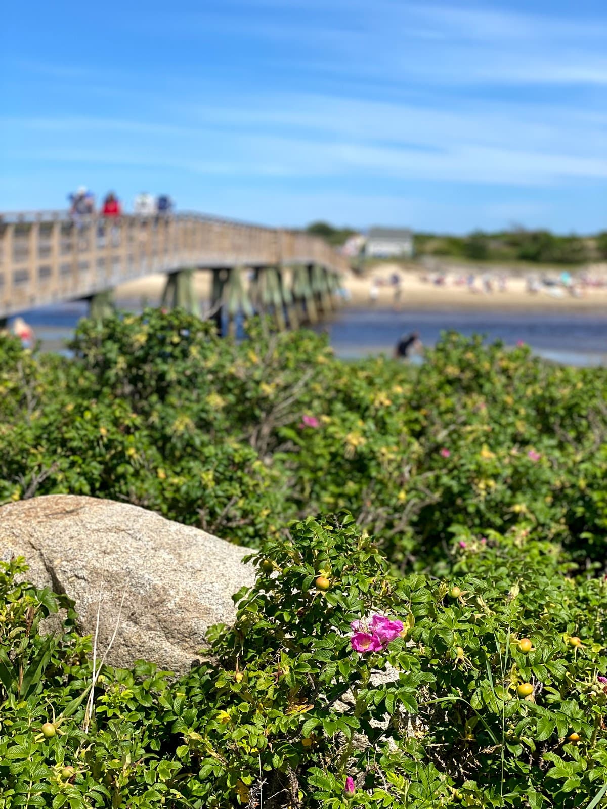 Bourne's Ocean Acres Ogunquit