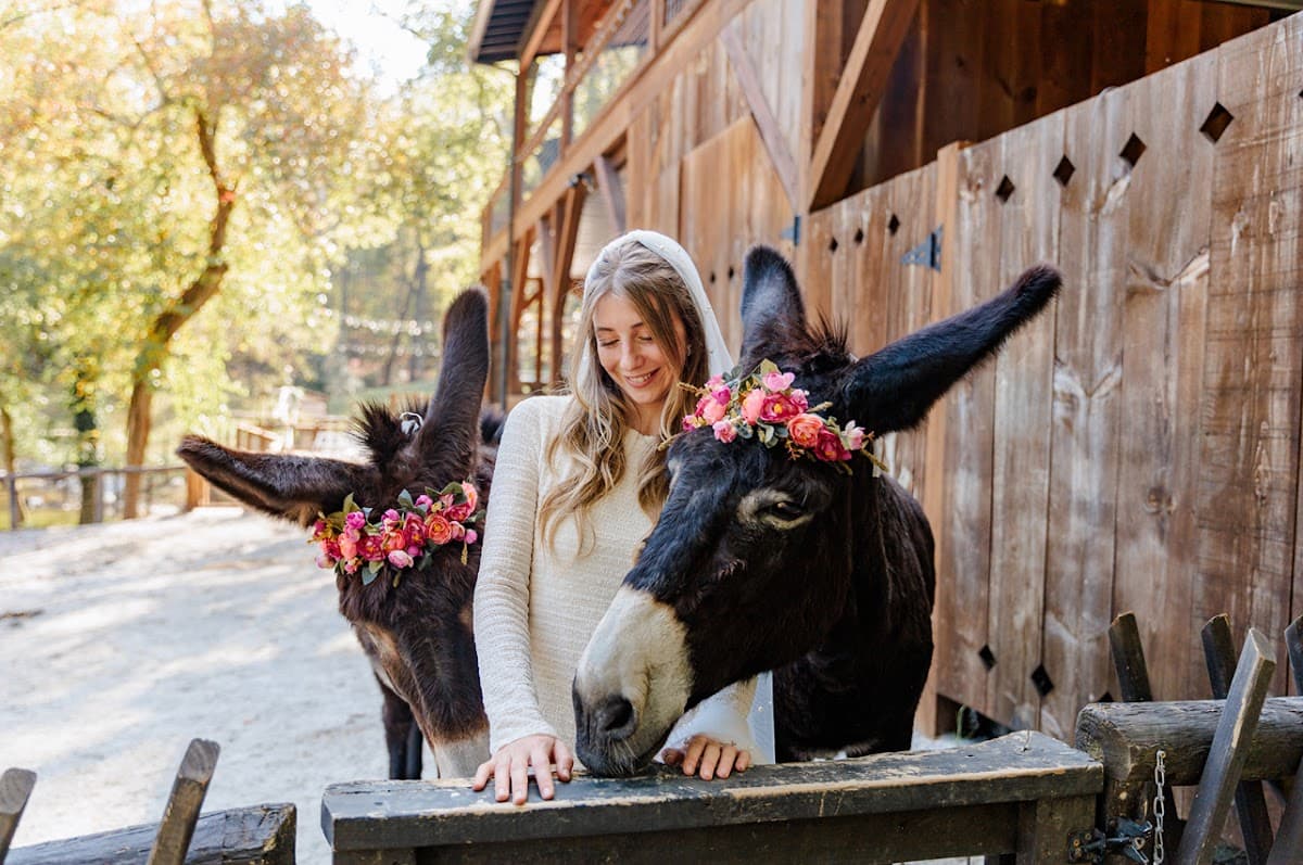 Satolah Creek Farm