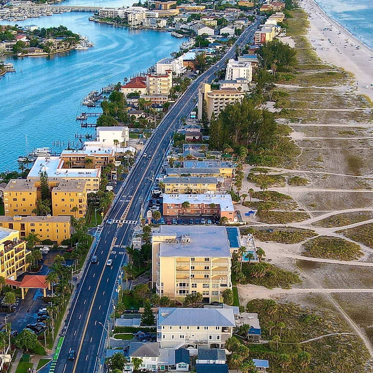 The Palms of Treasure Island
