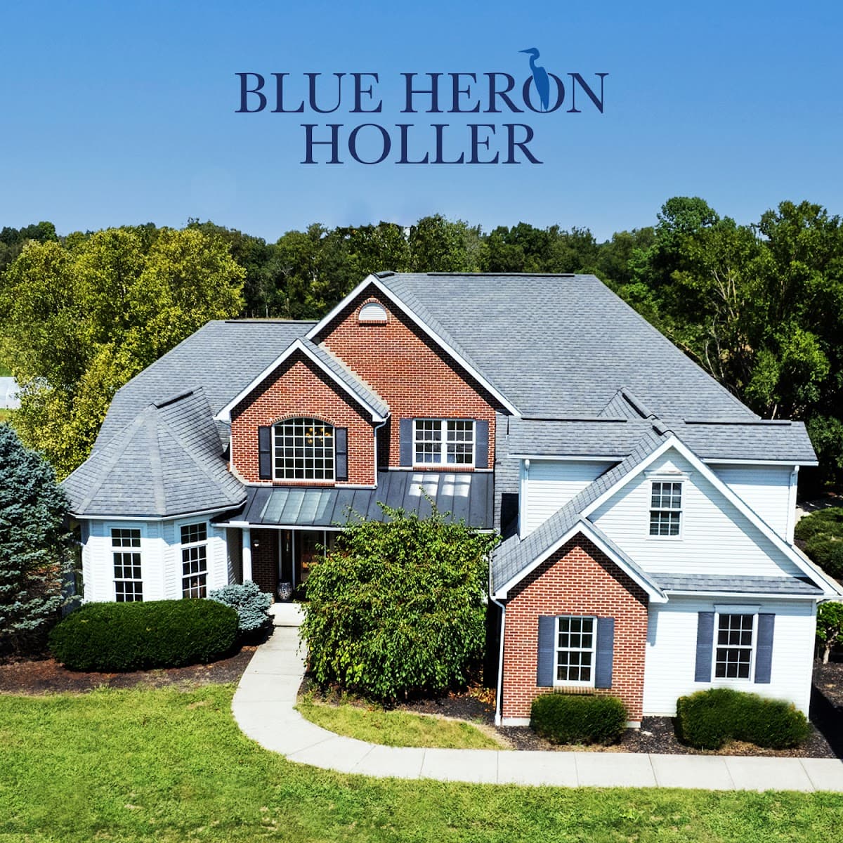 Blue Heron Holler