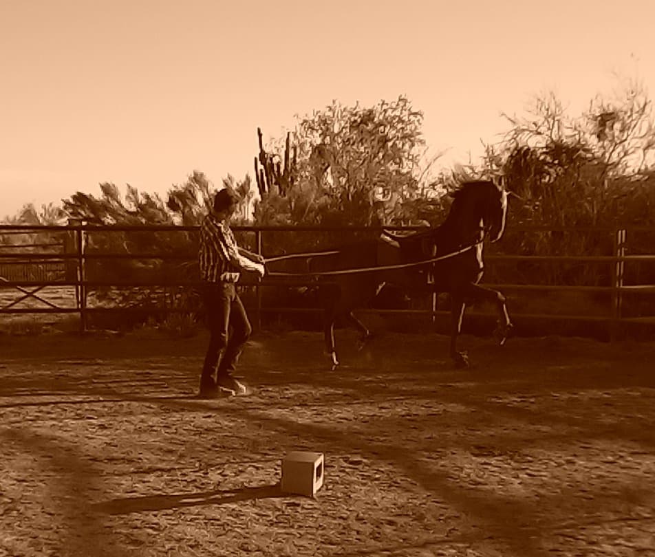 Sanchos Rancho
