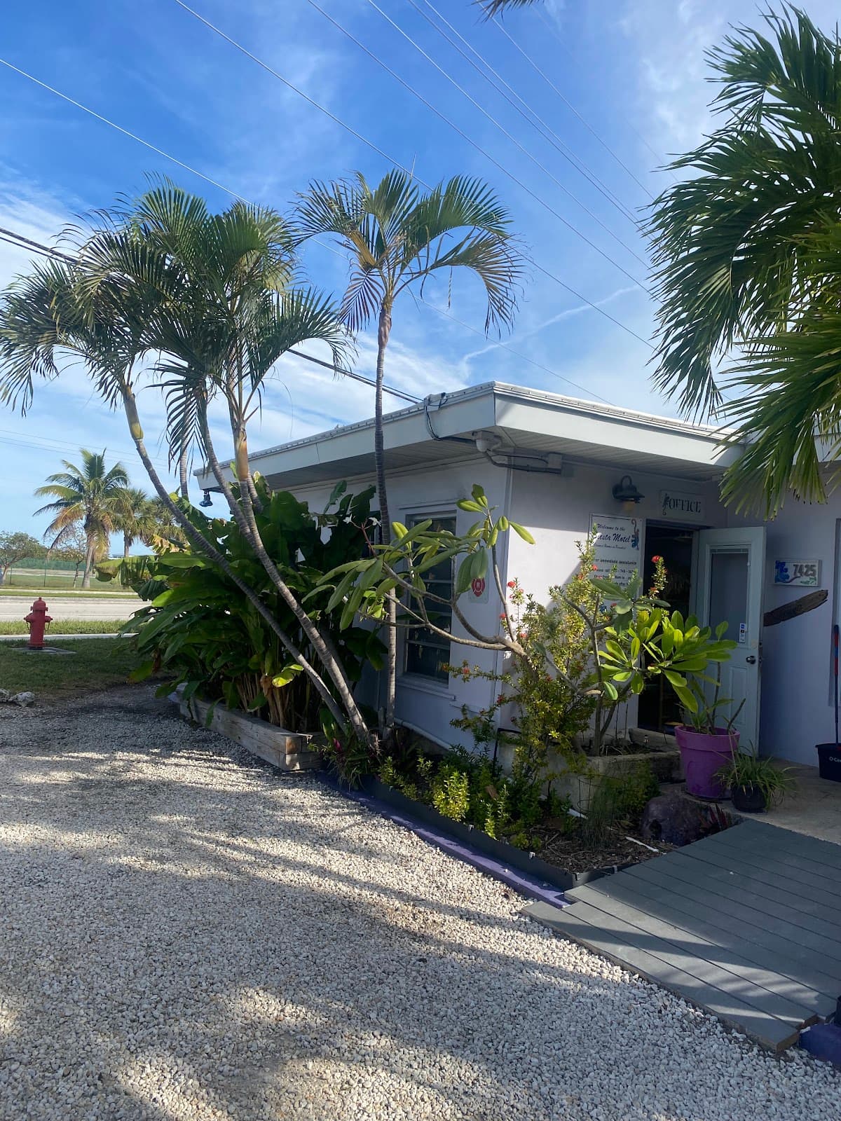 Siesta Motel
