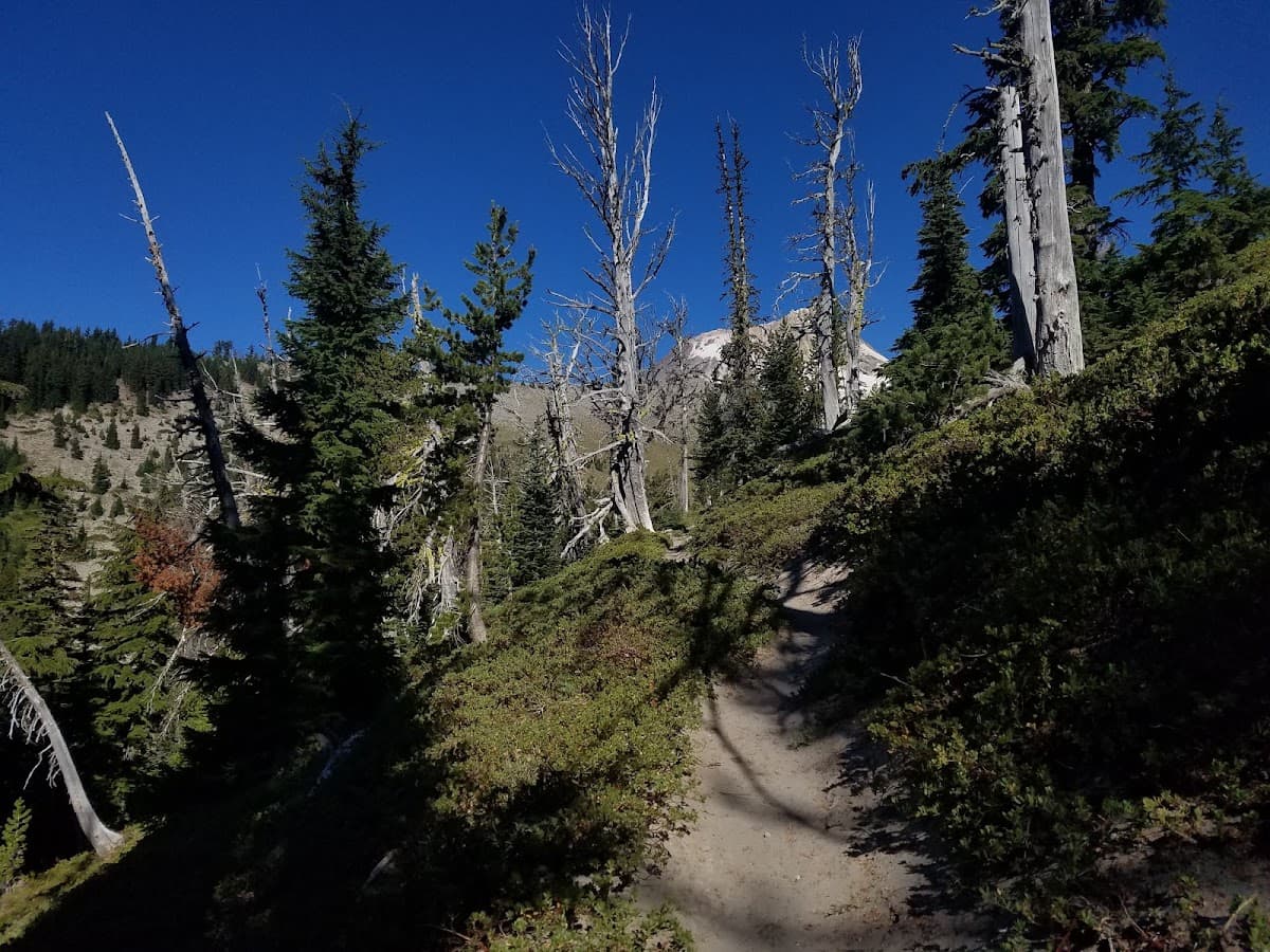 Elk Meadows
