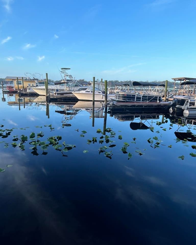 Tropical Resort & Marina on Lake Beresford