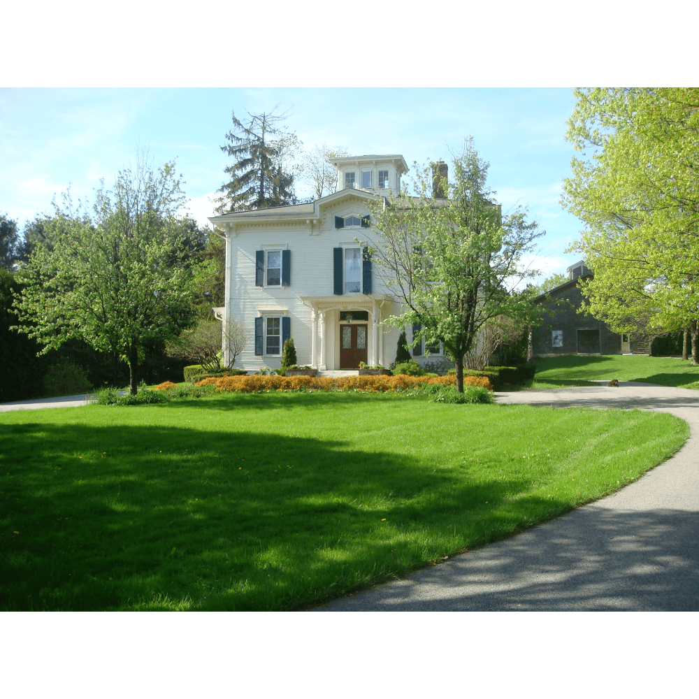 Antique Mansion B&B