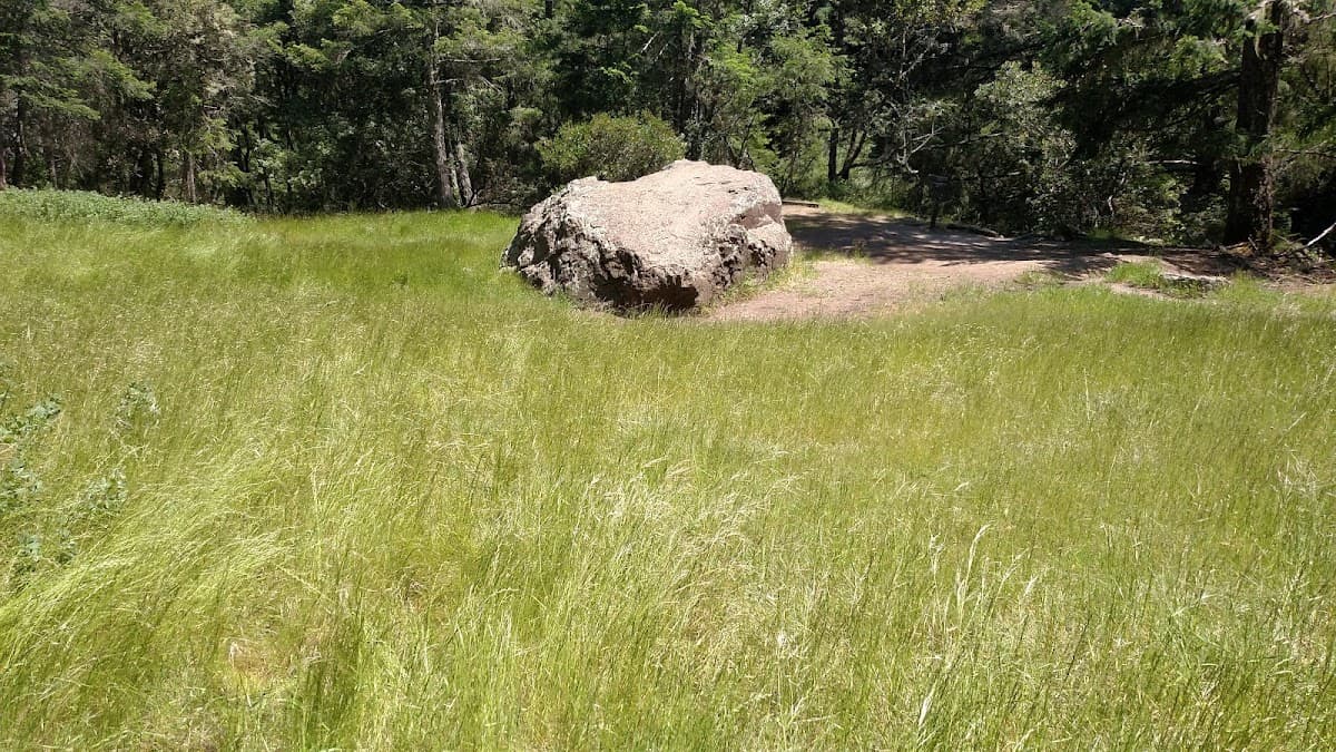 Van Wyck Meadow