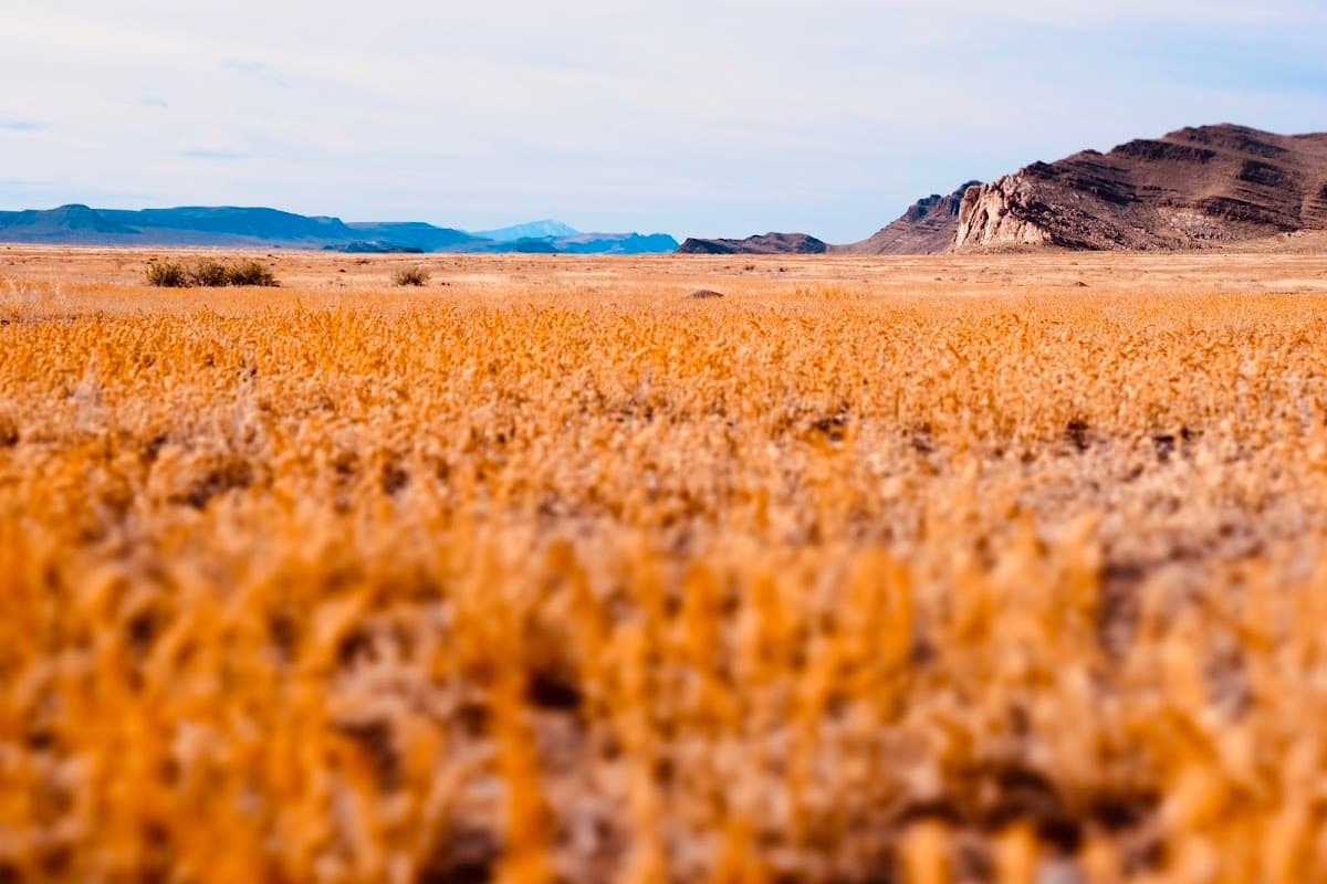 Tule Valley Hardpan