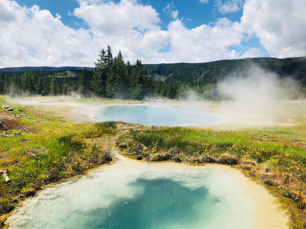 Artemisia Geyser