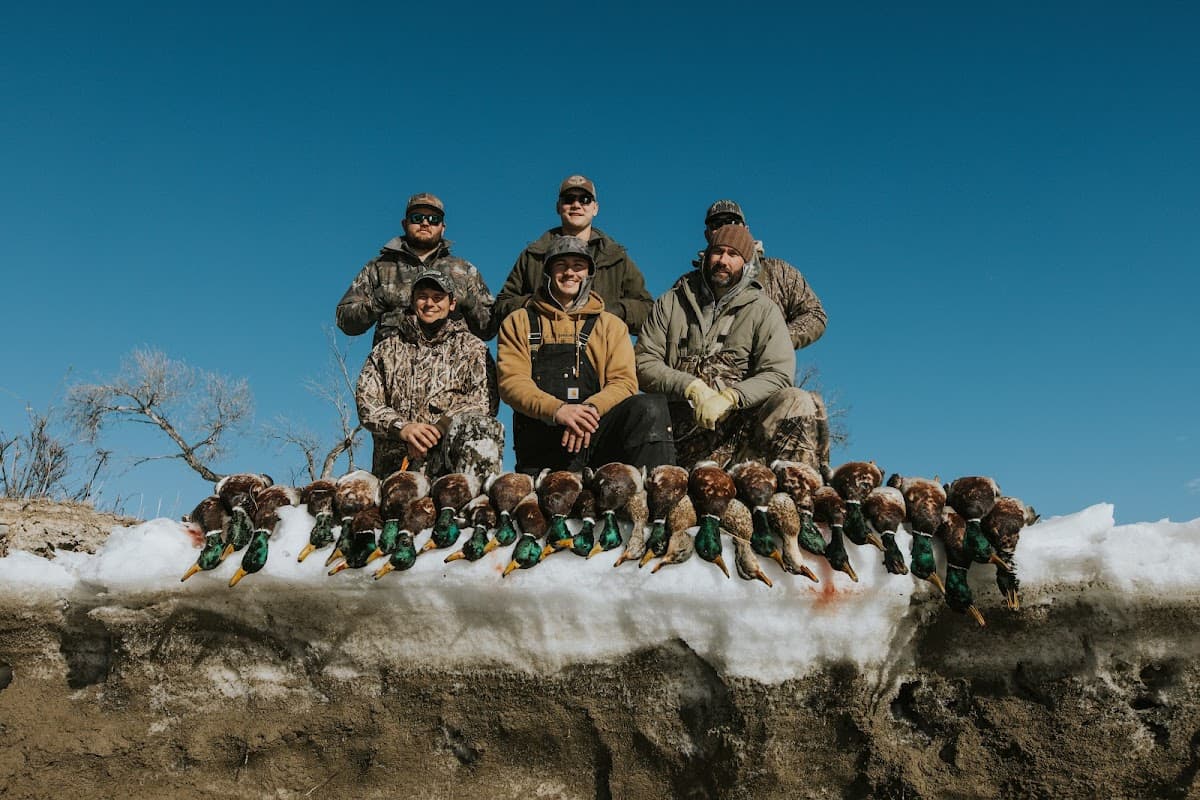 Mountain View Mallard lodge