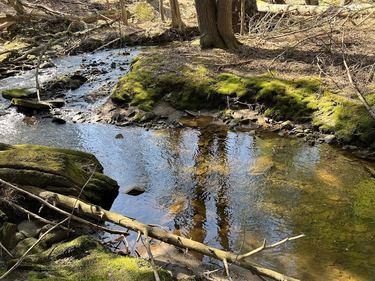 Cozy Cottage Vacation Rental - Catskills