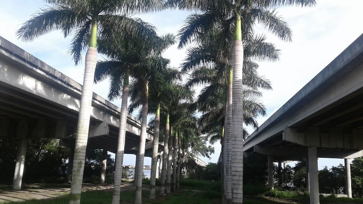 Edgewater Resort Apartments