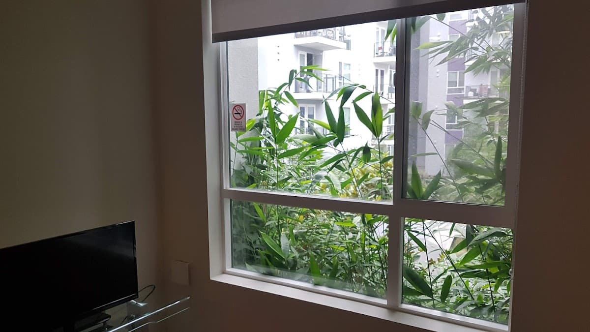 Downtown Venus Apartment