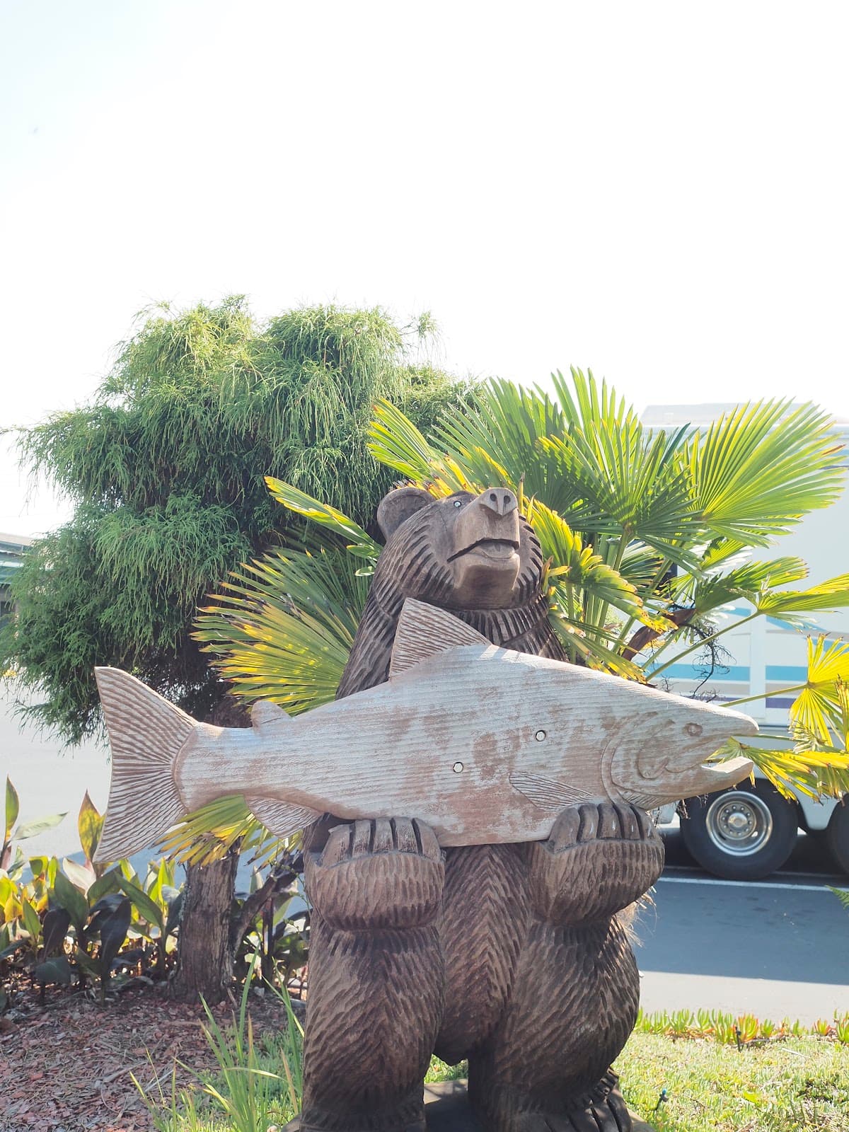 Wild Rivers Motorlodge