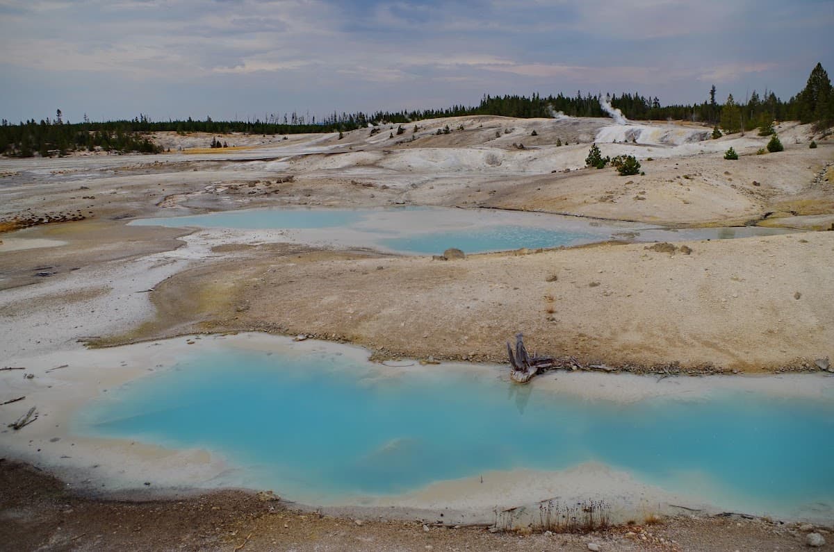 Colloidal Pool