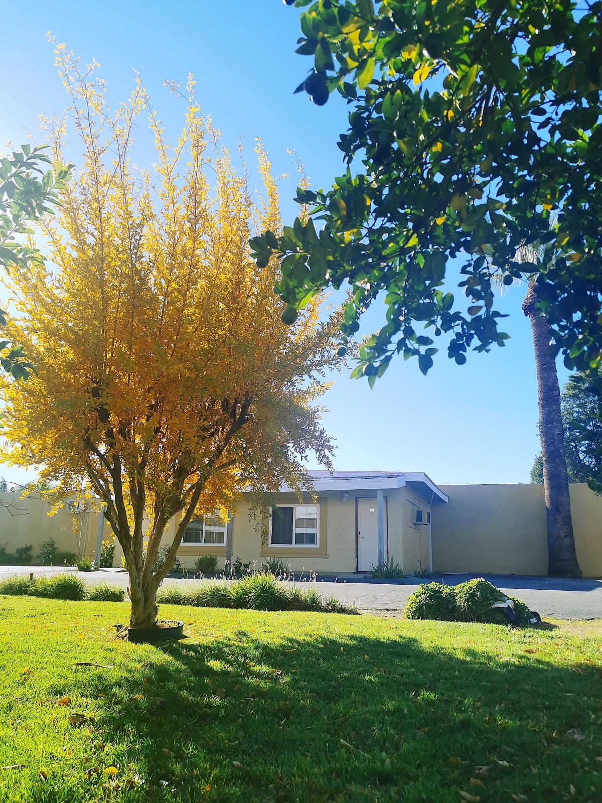 Royal Inn & Suites Hemet