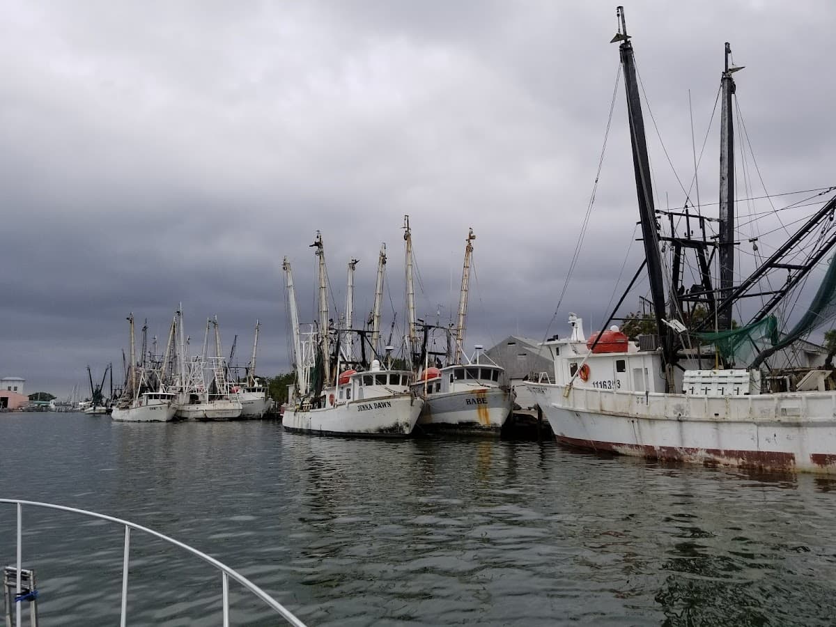 Matanzas Harbor