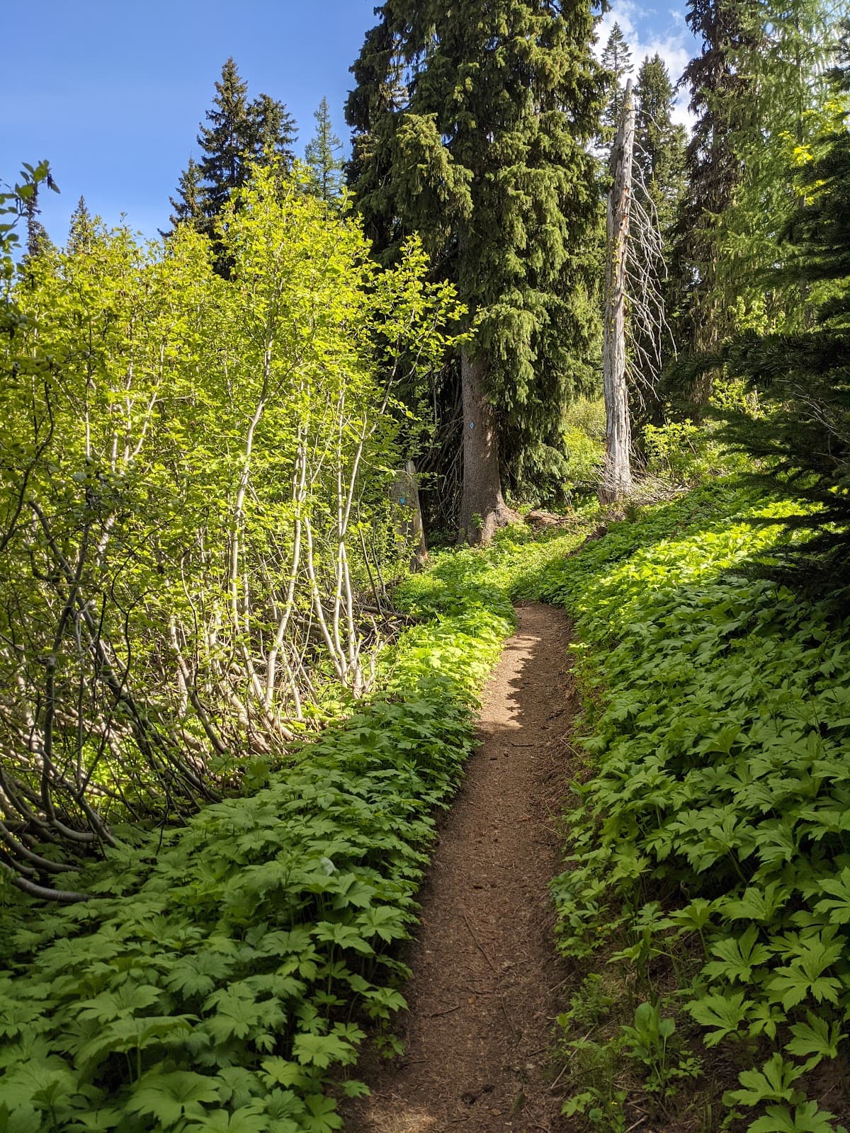 Horseshoe Prairie