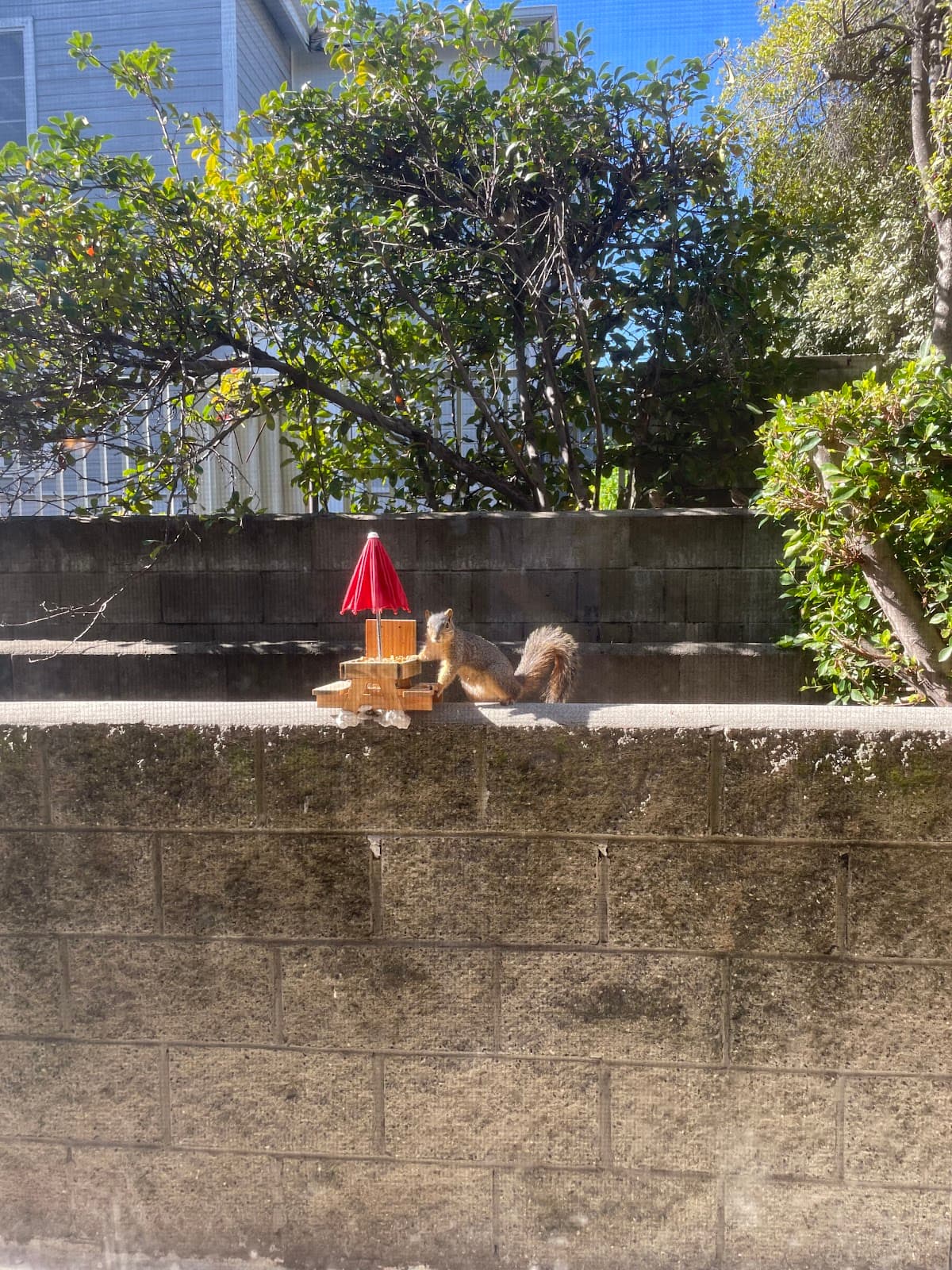 Monarch Terrace Apartments