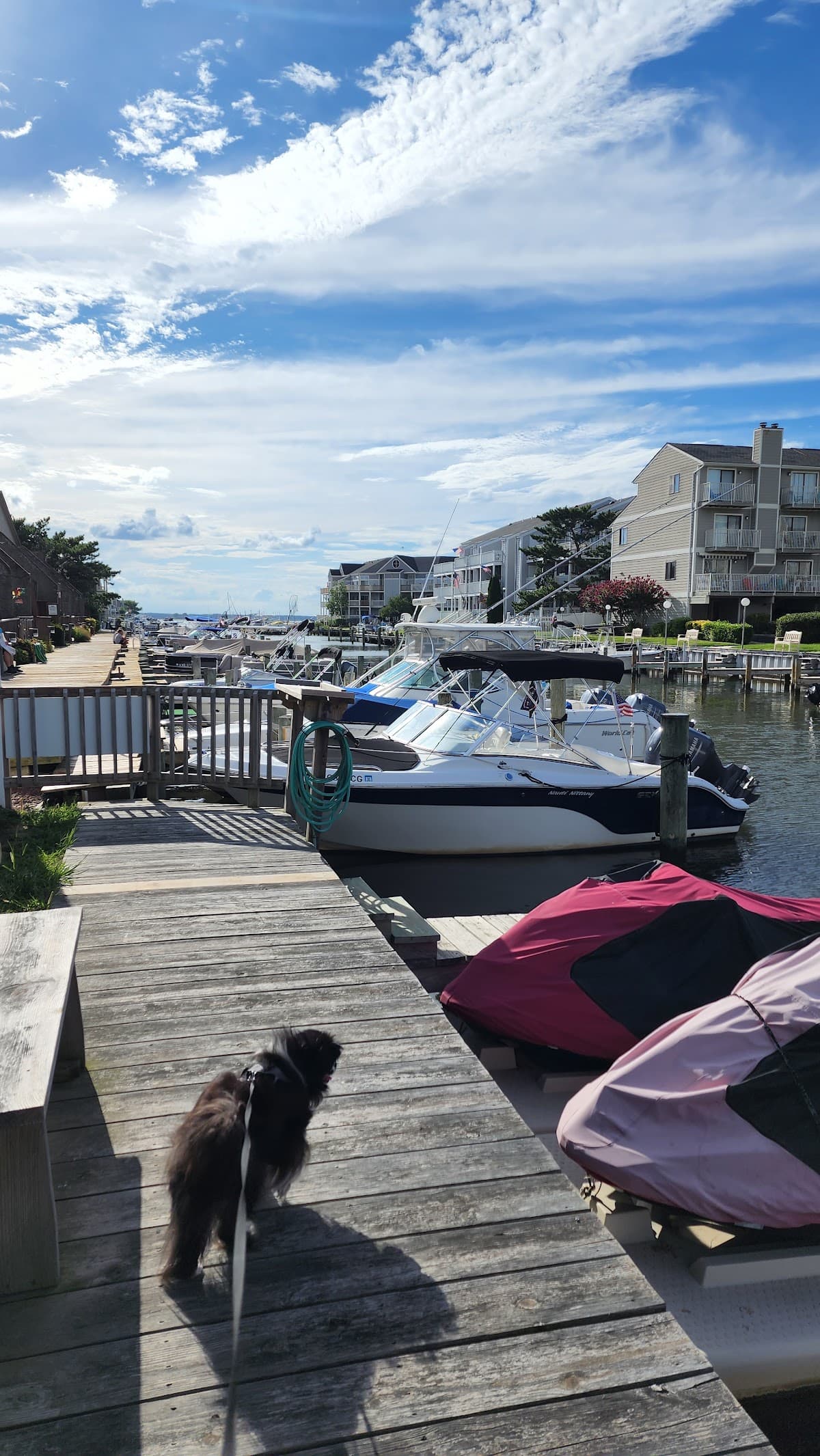 The Quarters At Marlin Cove