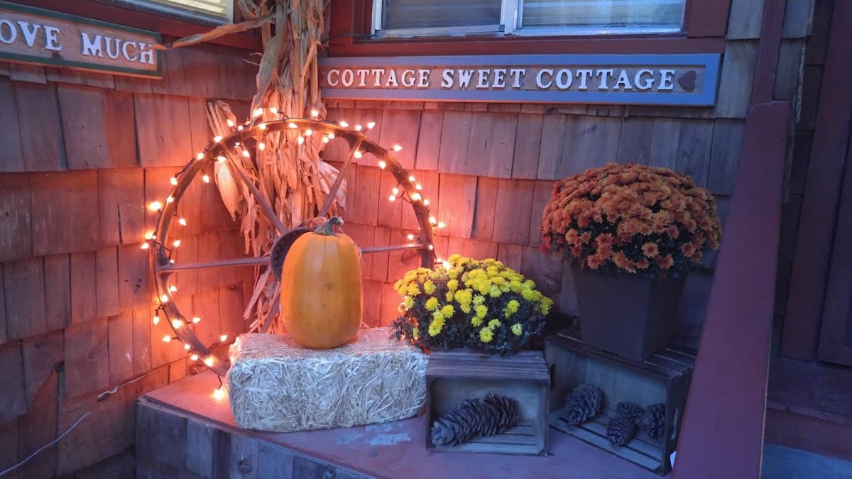 Shakti Cove Cottages