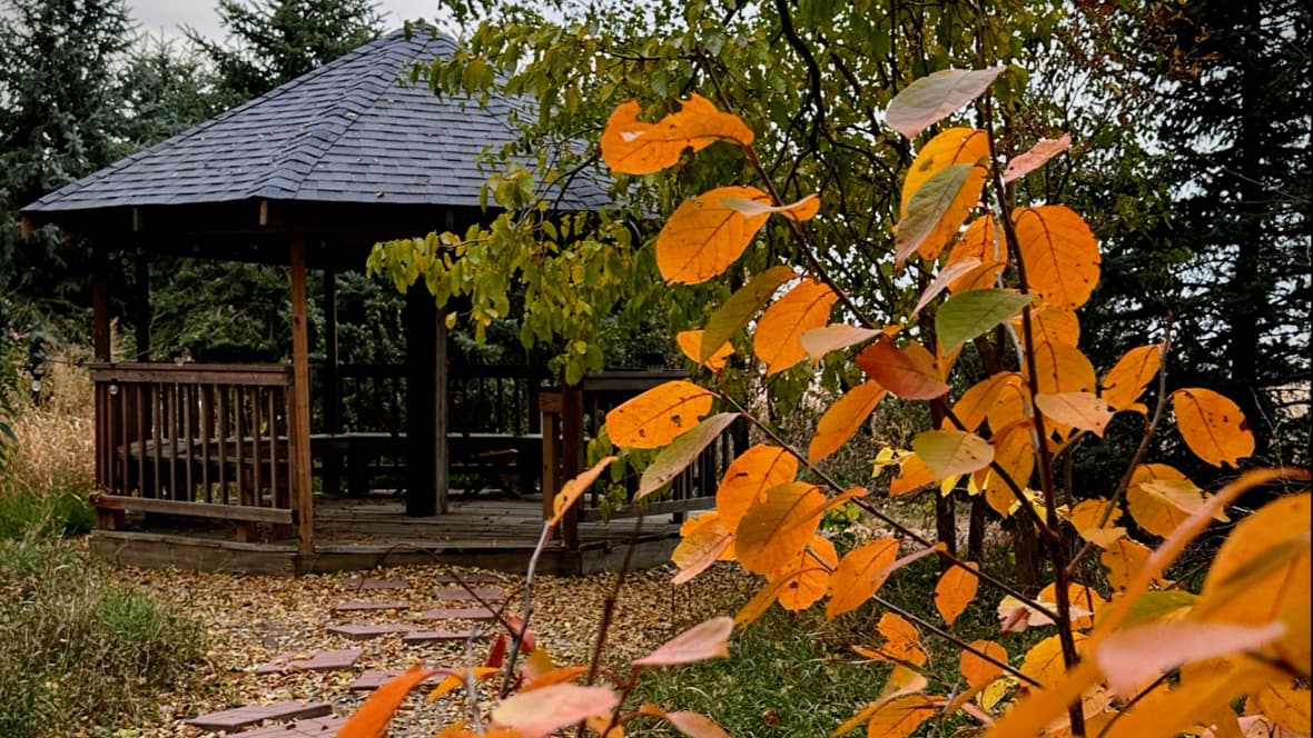 Blue Tin Ranch