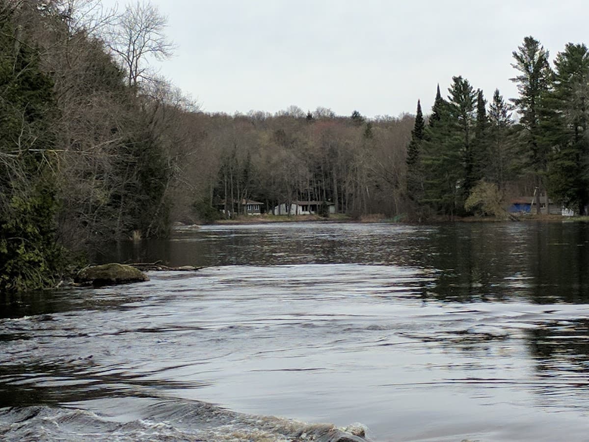 Wild Wolf Inn & Raft Rentals