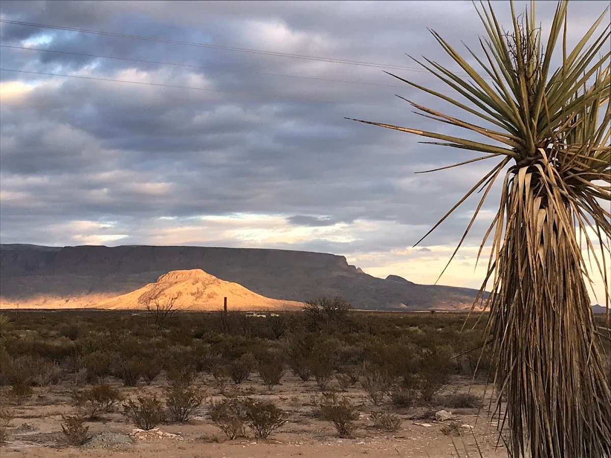 9-Point Mesa
