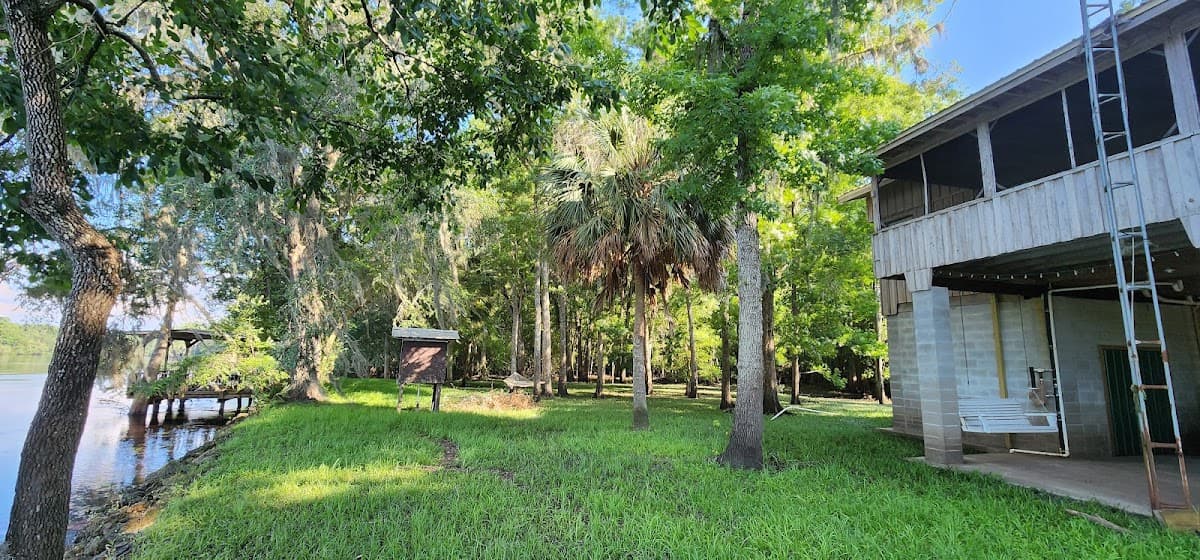 Suwannee River Grove