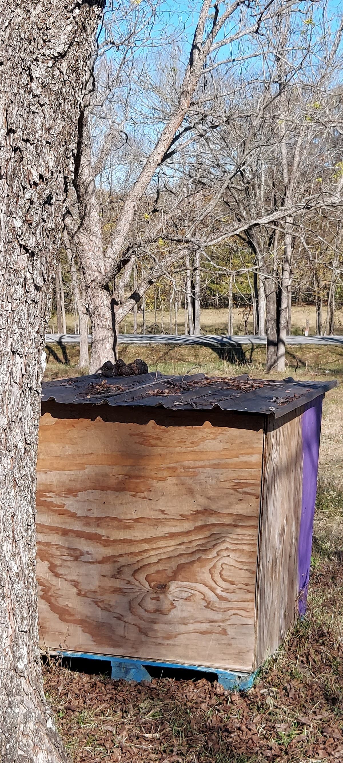 Kennys Doghouse Kennels