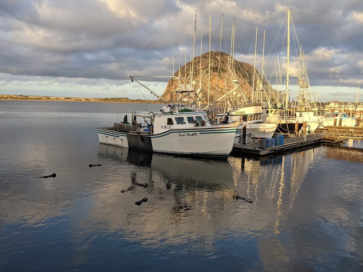 Bayfront Inn